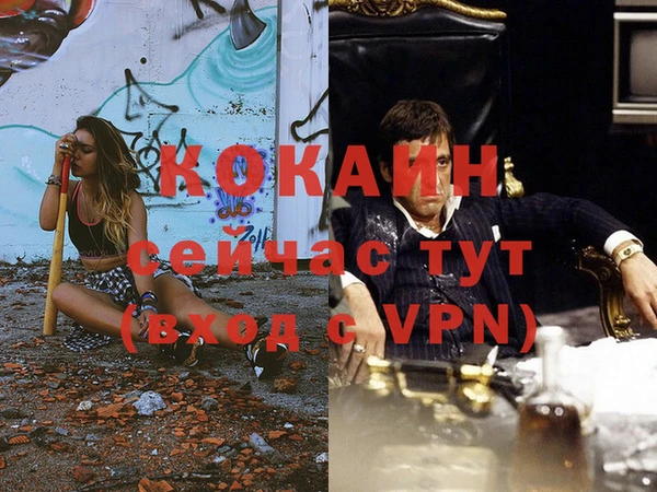 шишки Беломорск