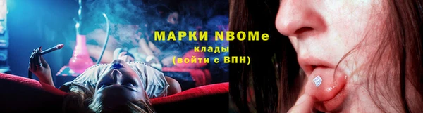 шишки Беломорск