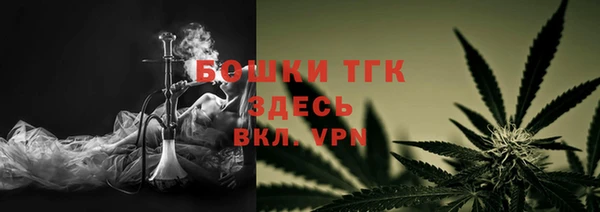 mdpv Богородск