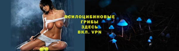 шишки Беломорск
