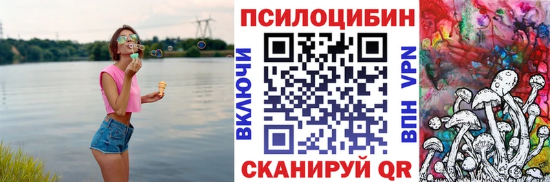 Псилоцибиновые грибы Psilocybe  Купить закладки  Кремёнки 